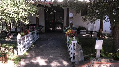 Trattoria in gestione