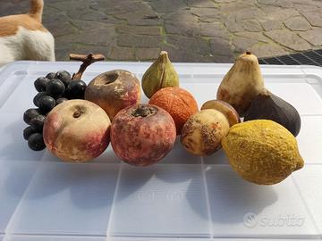 frutta in alabastro di Volterra 