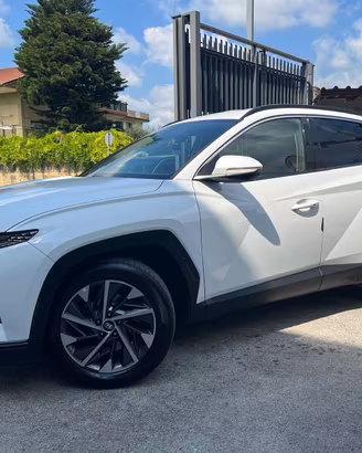 Hyundai TUCSON III 2021 1.6 crdi Xtech 2wd Navi/Ka