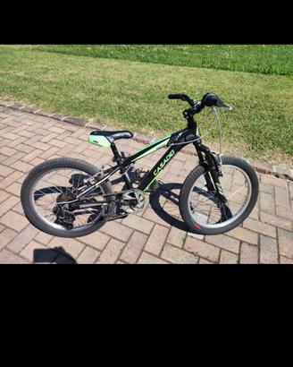 bicicletta bambino ruote 20"