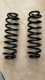 Molle Posteriori Volkswagen Passat Vital