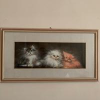Quadro gatti