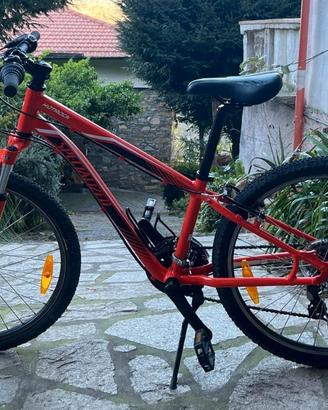 Bici MTB Specialized hotrock 24 arancione fluo