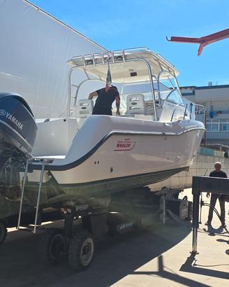 Boston Whaler 305 conquest