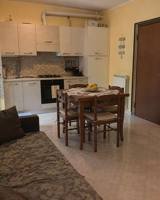 Bilocale arredato con balcone - Caponago