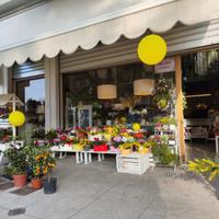 Negozio di fiori e piante -posizione strategica