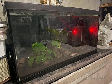 Acquario 100 litri