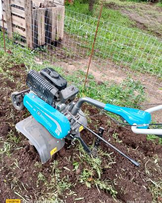 Motozappa Bertolini  205 s