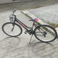 Mouintain bike frejus 26 donna