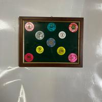 fish di diversi casino in cornice