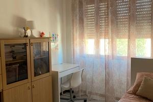 Stanza singola nei pressi di viale zara