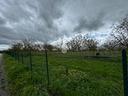 ter-agricolo-a-spello