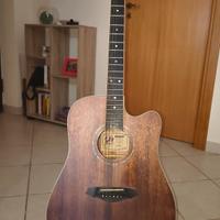 Chitarra Acustica Framus FD14