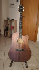 Chitarra Acustica Framus FD14