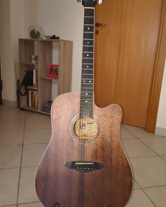 Chitarra Acustica Framus FD14