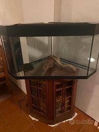 Acquario ad'angolo 155l