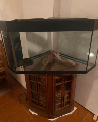 Acquario ad'angolo 155l