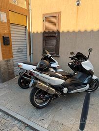 T-MAX 500 whitemax 2010