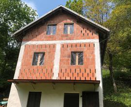 Stavolo con terreno in Carnia Rigolato