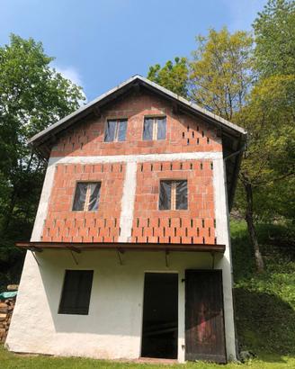 Stavolo con terreno in Carnia Rigolato