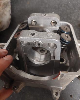 Testa sh 300