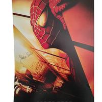 Poster Spiderman Raimi trilogia firmato raro dvd