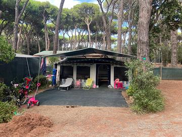 ROULOTTE 6 POSTI