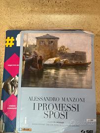i promessi sposi