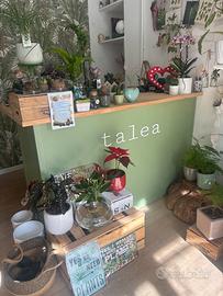 Bancone  negozio artigianale