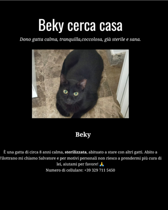 Dono Gatta buona e coccolosa sterilizzata