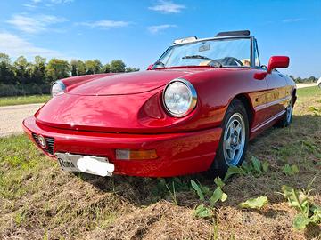 alfa romeo spider duetto IV serie