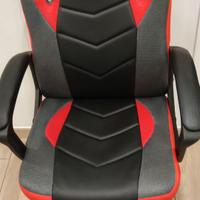 Sedia Con Braccioli Portata 130kg Rosso