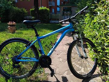 Bicicletta tipo mountain bike