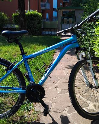 Bicicletta tipo mountain bike