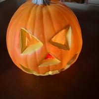Zucca