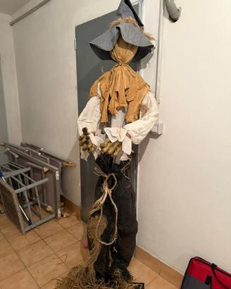 Spaventapasseri con piantana decorativo