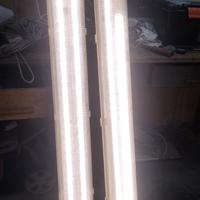 NEON A LED