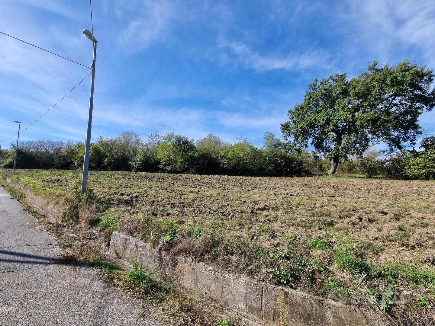 Terreno agricolo pianeggiante e fronte strada - Vista 3