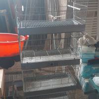 gabbie zincate da 55cm da cova buone condizioni 