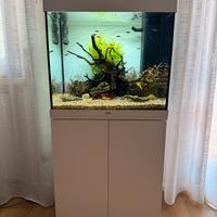 Acquario 100-120 Litri Juwel