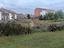 Immagine 6