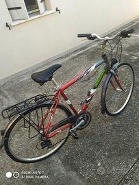 Bicicletta da uomo
