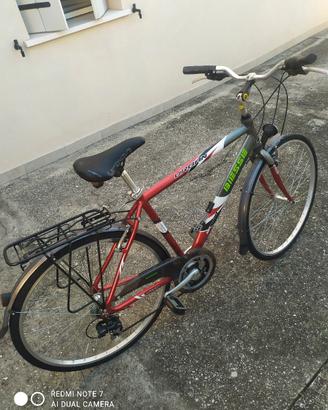 Bicicletta da uomo