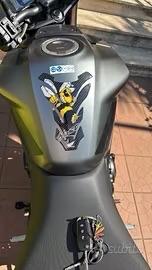 Hornet 750 2024