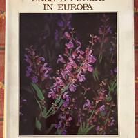 Erbe e funghi in Europa 1977  L’elicottero