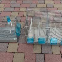 Gabbia cova e trasportino