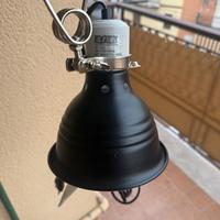 Lampada per terrario