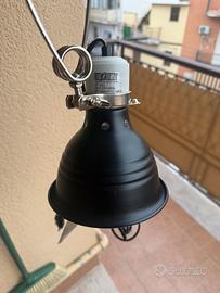 Lampada per terrario