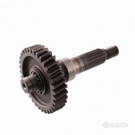 Albero con ingranaggio ruota F12 100 cc 60120400