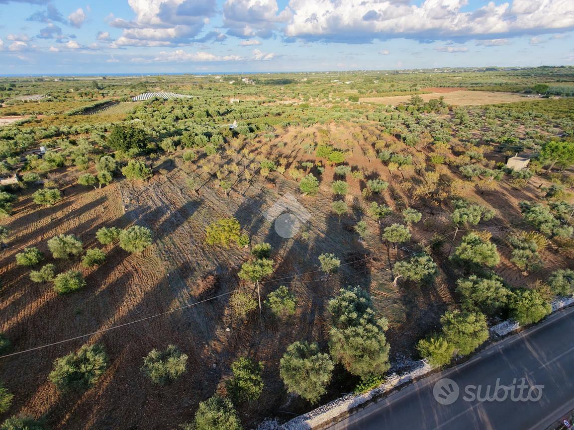 TER. AGRICOLO A CONVERSANO - Vista 5